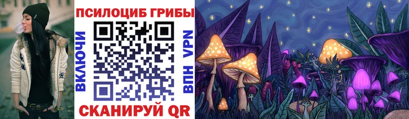 Галлюциногенные грибы Psilocybe  Нижнеудинск 